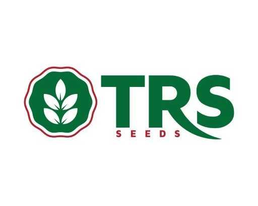 hybrid-seeds-in-agriculture-for-modern-farming-development