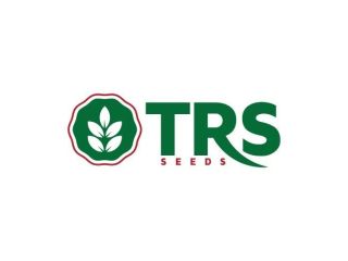 hybrid-seeds-in-agriculture-for-modern-farming-development-small-0