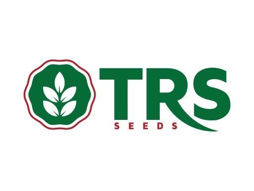 hybrid-seeds-in-agriculture-for-modern-farming-development