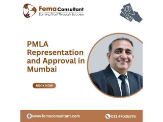 pmla-representation-and-approval-in-mumbai-small-0