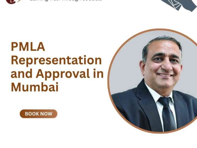 pmla-representation-and-approval-in-mumbai