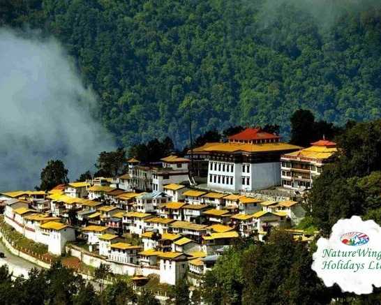unlock-the-magic-of-the-premium-north-east-tour-package