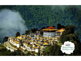 unlock-the-magic-of-the-premium-north-east-tour-package-small-0