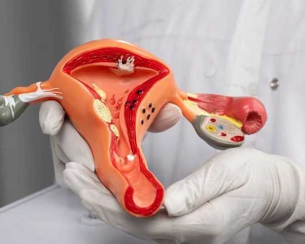 dr-manish-singhal-best-cervical-cancer-doctor-delhi