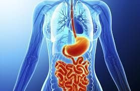 best-gastroenterologist-in-ahmedabad-for-expert-care-big-0