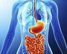 best-gastroenterologist-in-ahmedabad-for-expert-care