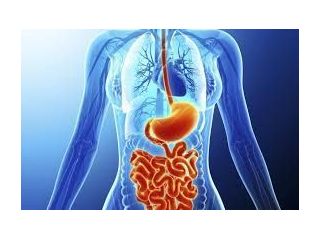 best-gastroenterologist-in-ahmedabad-for-expert-care-small-0