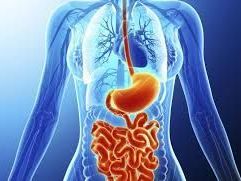 best-gastroenterologist-in-ahmedabad-for-expert-care