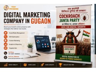 seo-and-digital-marketing-company-in-gurgaon-techprosense-small-0