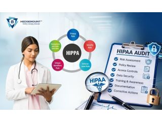 hipaa-compliance-audit-services-india-hedge-mount-small-0
