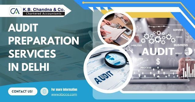 professional-audit-preparation-services-in-delhi-for-businesses-big-0
