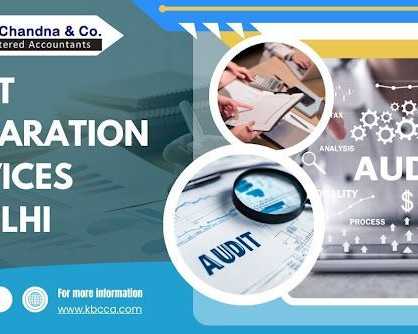 professional-audit-preparation-services-in-delhi-for-businesses