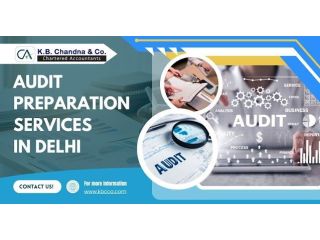 professional-audit-preparation-services-in-delhi-for-businesses-small-0