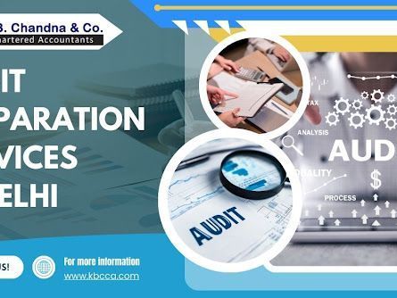 professional-audit-preparation-services-in-delhi-for-businesses