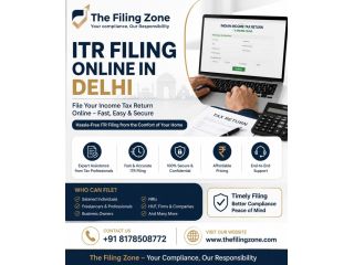 itr-filing-online-in-delhi-fast-trusted-services-the-filing-small-0