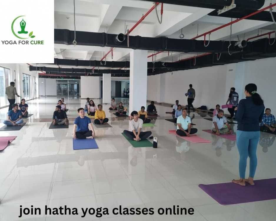 join-hatha-yoga-classes-online-for-better-flexibility
