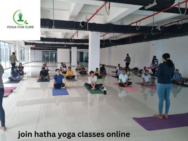 join-hatha-yoga-classes-online-for-better-flexibility