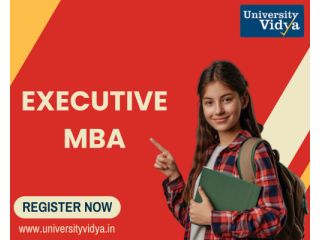command-multinational-boardrooms-with-an-elite-executive-mba-small-0