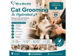 cat-grooming-in-hyderabad-small-0
