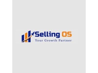 professional-ecommerce-seller-support-management-in-delhi-ncr-small-0