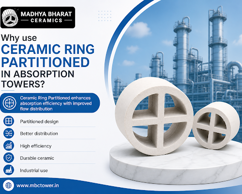 quality-ceramic-ring-partitioned-manufacturer-for-packed-towers