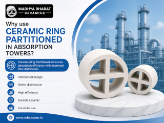 quality-ceramic-ring-partitioned-manufacturer-for-packed-towers-small-0