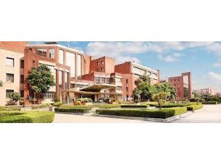 french-studies-ba-french-colleges-in-gurgaon-small-0