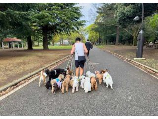 dog-walkers-in-ahmedabad-small-0