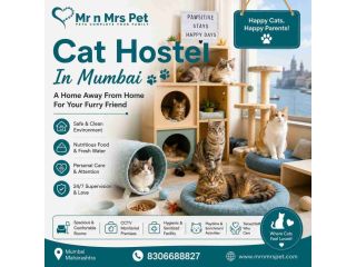 cat-hostel-in-mumbai-small-0