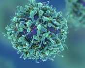 best-oncology-api-manufacturer-sarv-biolabs