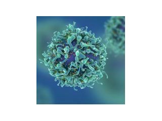 best-oncology-api-manufacturer-sarv-biolabs-small-0