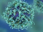 best-oncology-api-manufacturer-sarv-biolabs