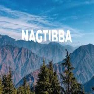 book-nag-tibba-trek-at-best-price-with-trekngo-big-0