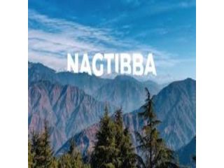 book-nag-tibba-trek-at-best-price-with-trekngo-small-0
