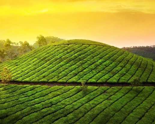 best-travels-in-madurai