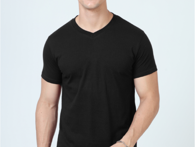 basics-men-regular-fit-v-neck-t-shirt-100-cotton