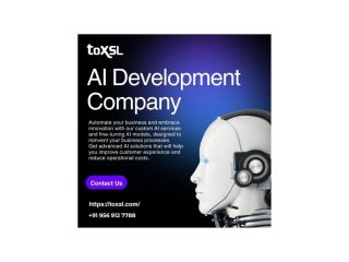 custom-ai-development-services-toxsl-technologies-small-0