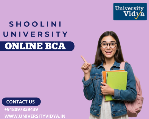 learn-coding-anywhere-with-the-shoolini-university-online-bca-big-0