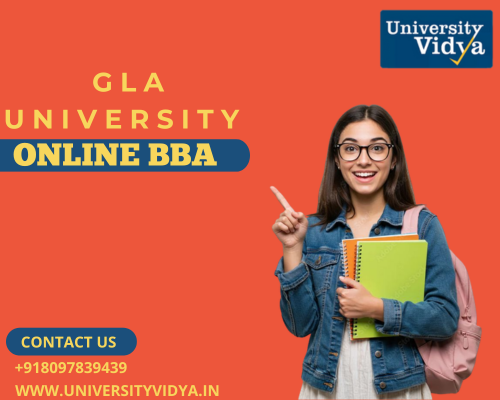 training-with-the-gla-university-online-bba-big-0