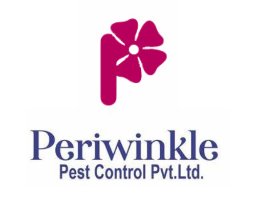 best-bed-bug-control-services-periwinkle-pest-control