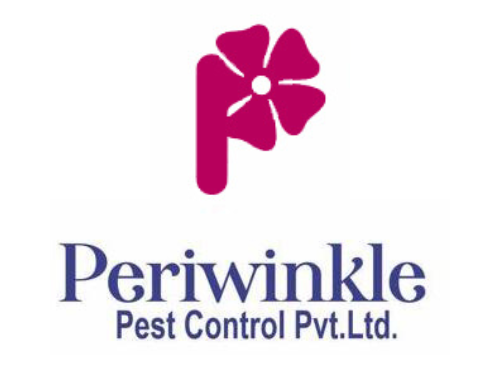 best-bed-bug-control-services-periwinkle-pest-control
