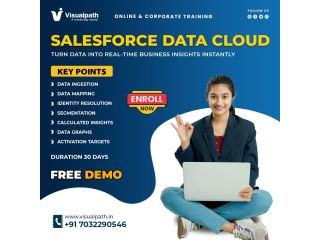 salesforce-data-cloud-training-online-corporate-training-small-0