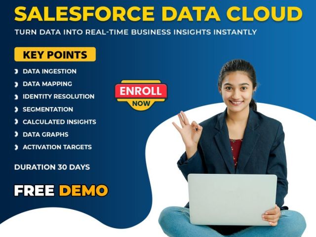 salesforce-data-cloud-training-online-corporate-training