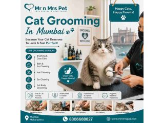 cat-grooming-in-mumbai-small-0