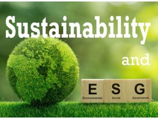 best-sustainability-consultants-service-pec-greening-india-small-0