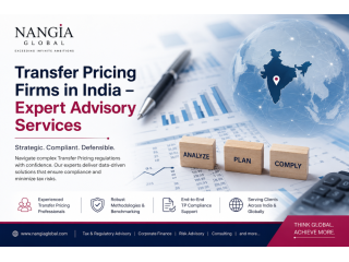transfer-pricing-firms-in-india-expert-advisory-services-small-0