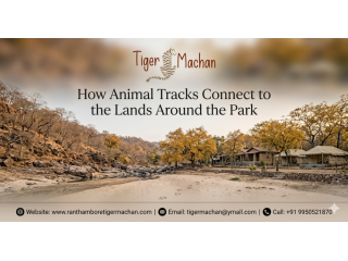 how-animal-tracks-connect-to-the-lands-around-the-park-small-0