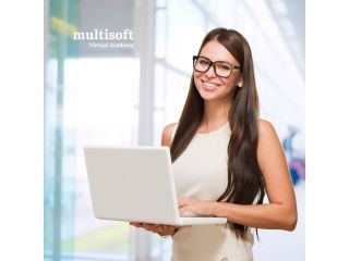 primavera-p6-fundamental-training-course-online-certification-small-0
