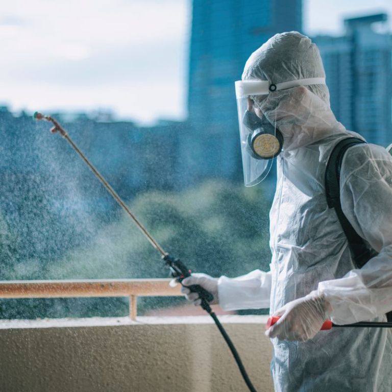 pest-control-gurgaon-safe-affordable-services-big-0