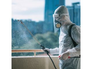 pest-control-gurgaon-safe-affordable-services-small-0